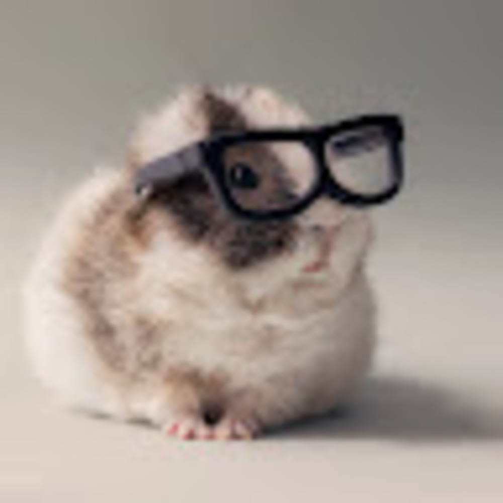 Meet your Posher, Ynes